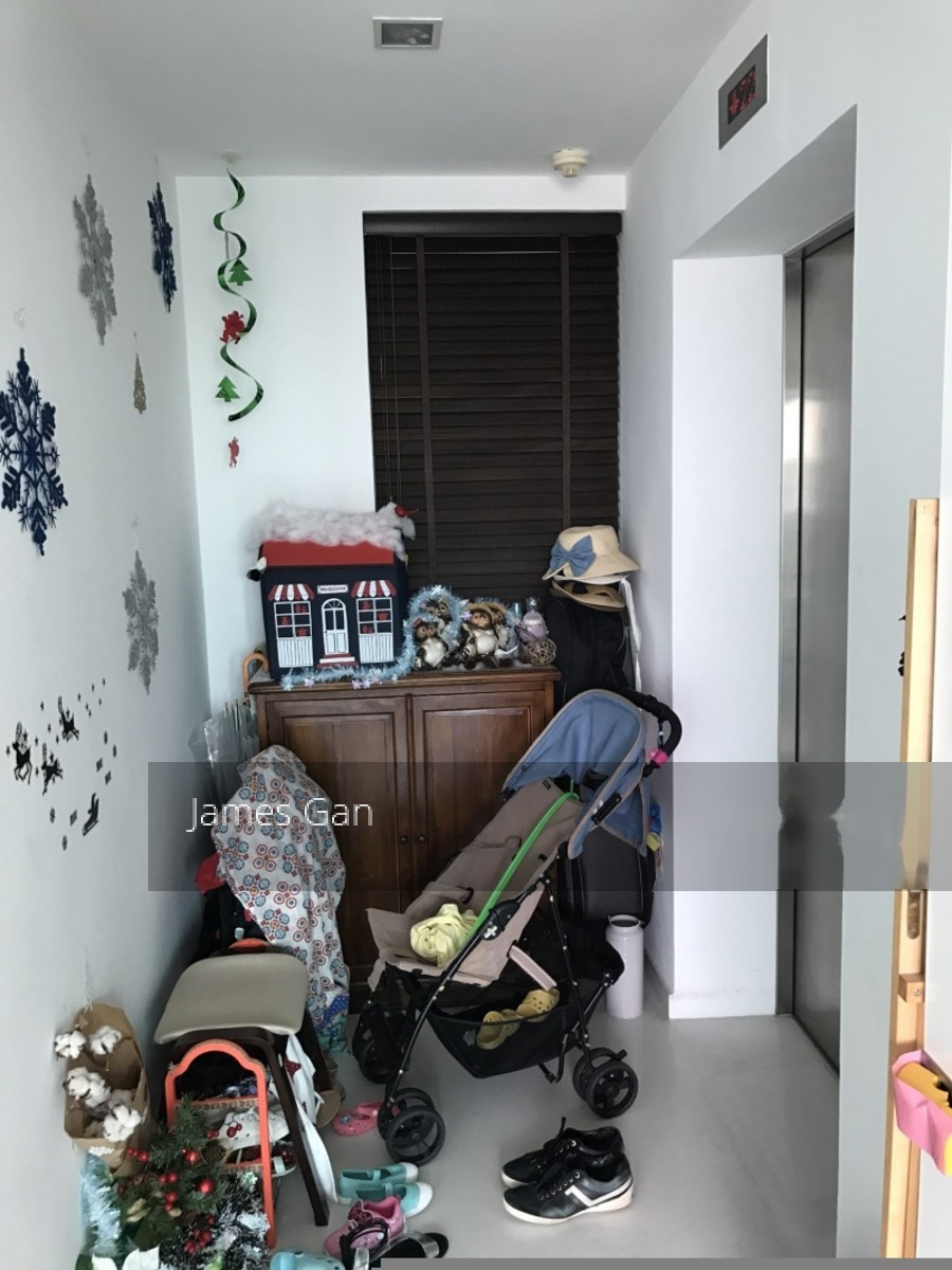 Soleil @ Sinaran (D11), Condominium #143922752